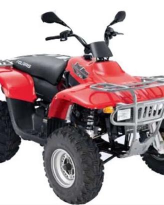 Quad trail boss 330
