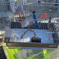 Gabbia per pappagalli o uccelli