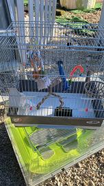 Gabbia per pappagalli o uccelli