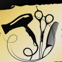 Direttore tecnico parrucchieri