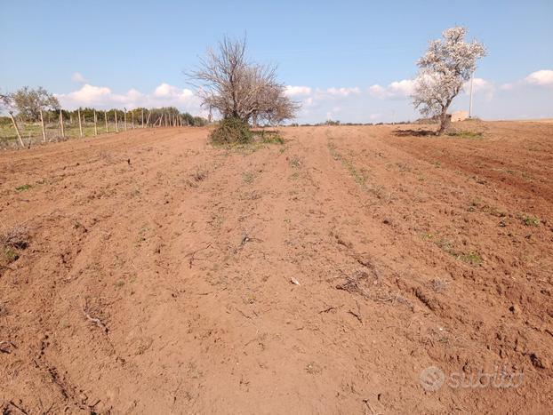 Terreno agricolo 3900 euro