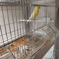 Per chi e interessato