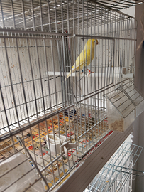 Per chi e interessato