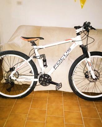 MTB Focus 