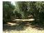 Immagine 9