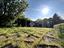 Immagine 5
