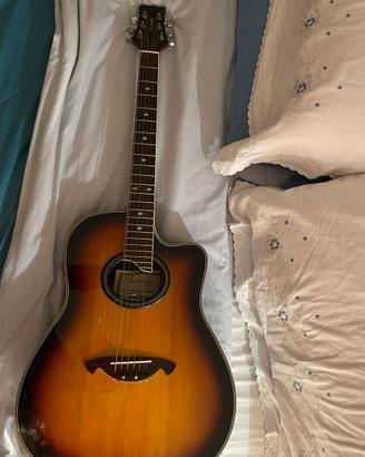 Chitarra Parkson