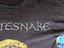 Immagine 4
