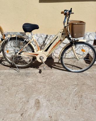 bicicletta a pedalata assistita