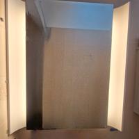 Specchiera con luce neon 