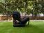 Immagine 1