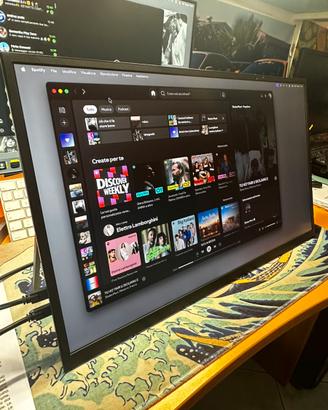 MONITOR PORTATILE con supporto + custodia +USB C