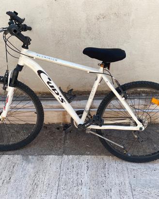 Bici normale