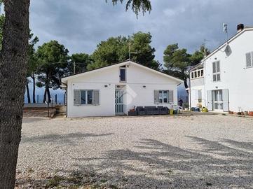 CASA INDIPENDENTE A CASTELLALTO