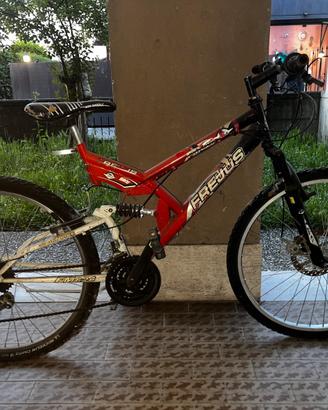 Bicicletta