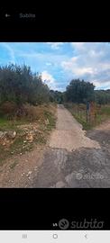 Terreno termini imerese