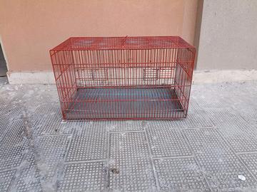 Canarini + gabbia