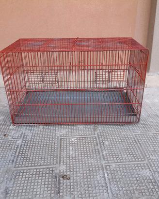 Canarini + gabbia