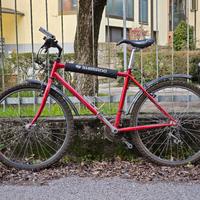 Bici Città/MTB Berma con Sella SMP TRK