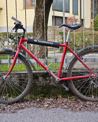 Bici Città/MTB Berma con Sella SMP TRK