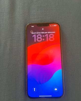 iphone 13 peo max 256gb