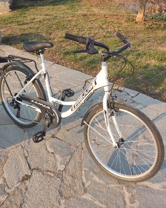 Bicicletta Holland