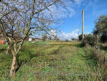 Stabile/Palazzo Civita Castellana [A4307814]