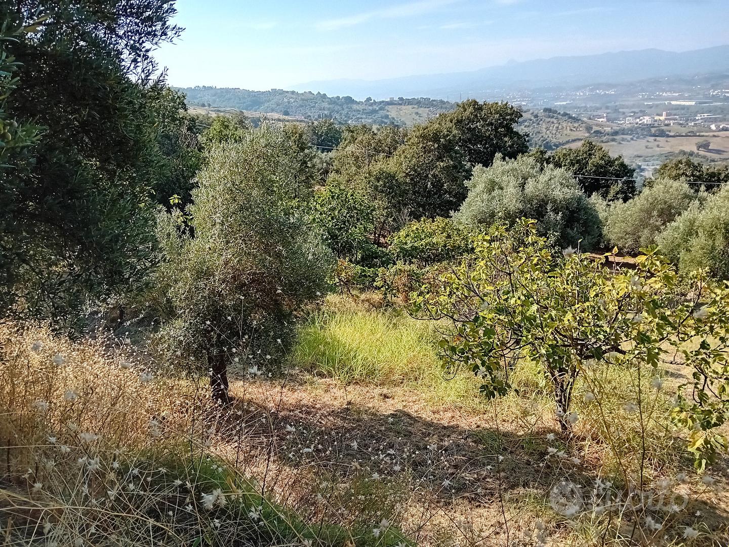 Terreno agricolo con annesso fabbricato - Vista 4