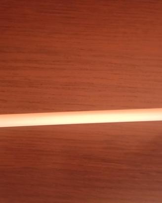 smart pen compatibile ipad