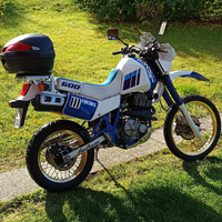 Suzuki dr600 djebel