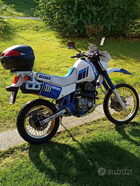 Suzuki dr600 djebel