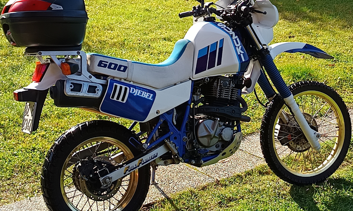 Suzuki dr600 djebel