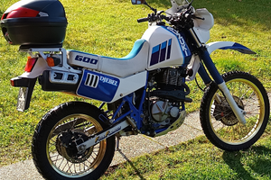 Suzuki dr600 djebel