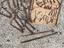 Immagine 3