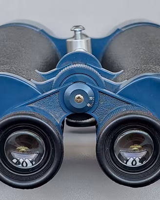 Binocolo VIXEN 20x80 ASTROMARINE BWCF (GIGANTE)