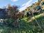 Immagine 20