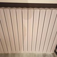 Termosifone in ghisa