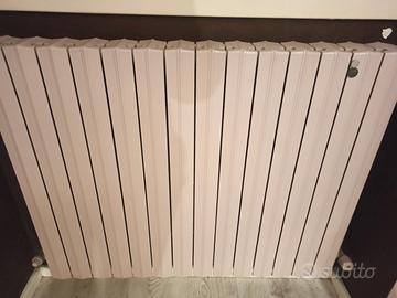 Termosifone in ghisa