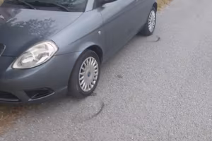 lancia y