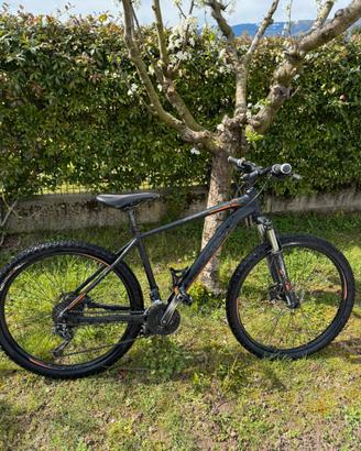 Mountain bike