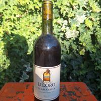 Bottiglia di Licoro Planargia 2004