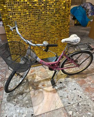 Bicicletta 