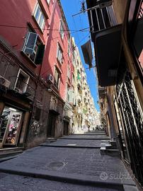 MONOLOCALE A NAPOLI