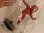 Immagine 3