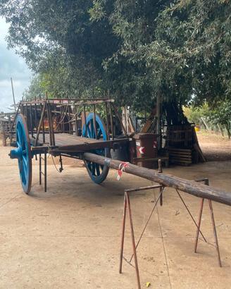 Carro Barozza per buoi