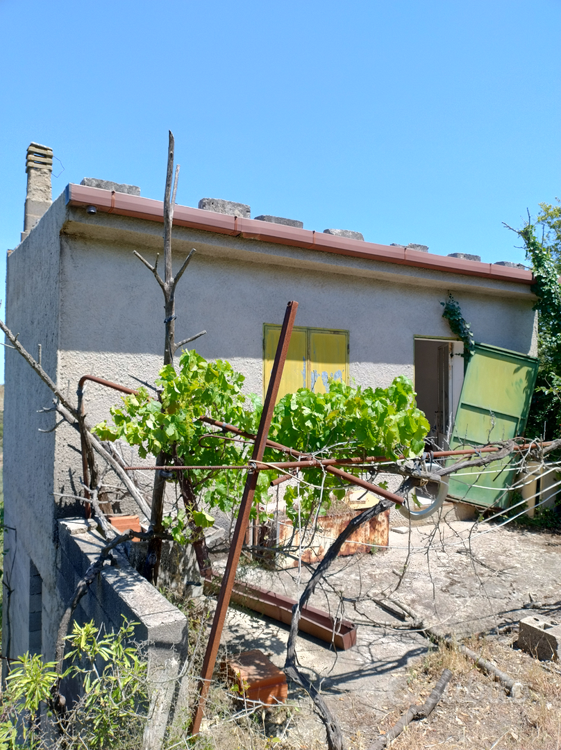 Terreno agricolo - Vista 4