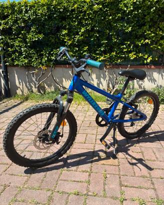 Montanbike del 22