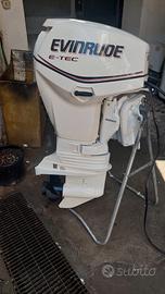 evinrude etec 40/50, del 2010