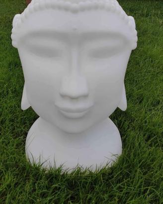 Testa di budda