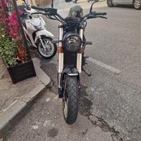 Benelli Leoncino 500 - 2022